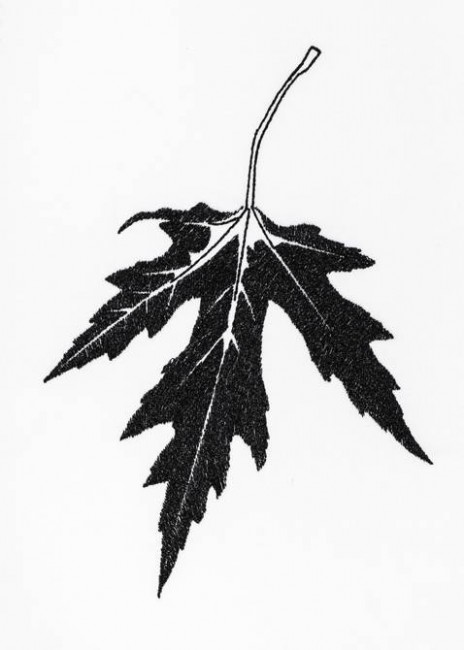 BFC1200 Autumn Blackwork Designs