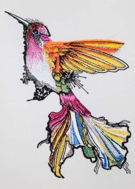 BFC1202 Ching Chou's Hummingbird