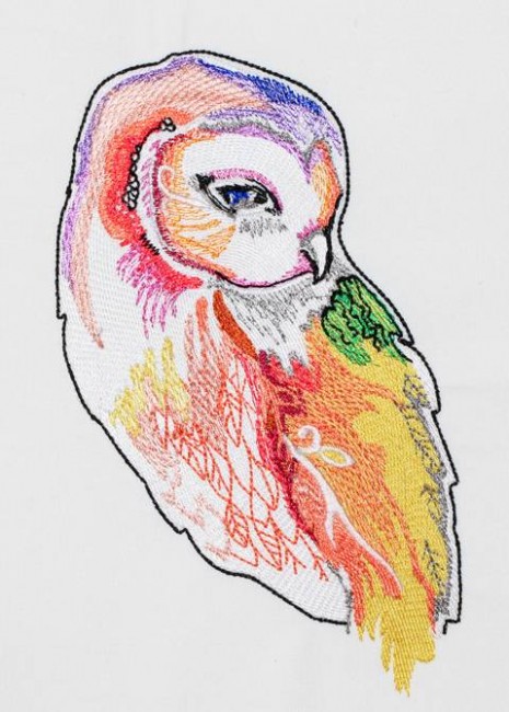 BFC1204 Ching Chou's Barn Owl