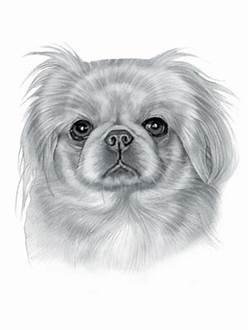 RMG1214  Gloria