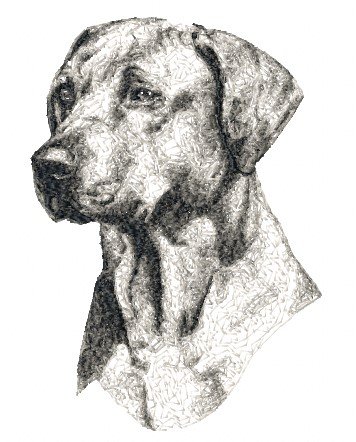 RMG1218  Jack