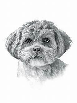 RMG1219  Tootsie