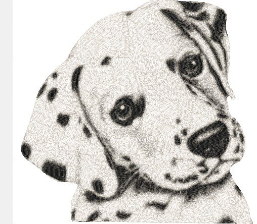 RMG1226  Spots