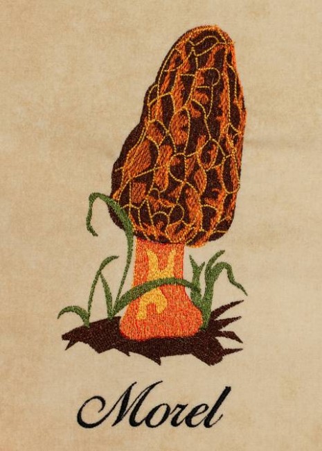 BFC1226 A Dozen Mushrooms