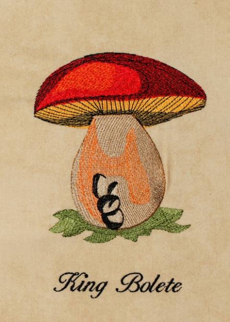 BFC1226 A Dozen Mushrooms