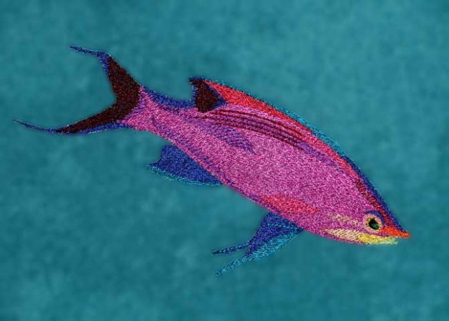 BFC1229 Tropical Fish