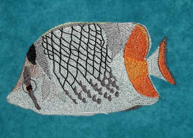BFC1229 Tropical Fish