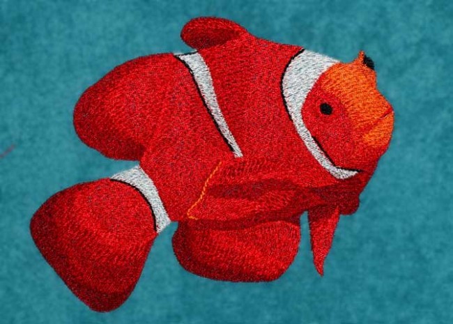 BFC1229 Tropical Fish