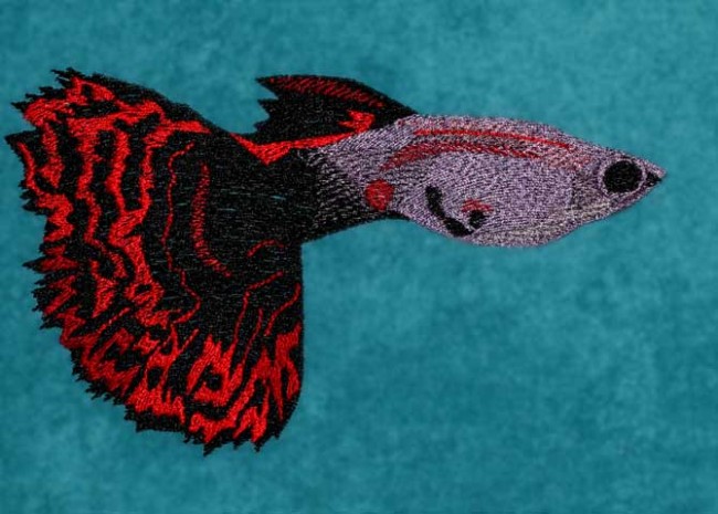 BFC1229 Tropical Fish