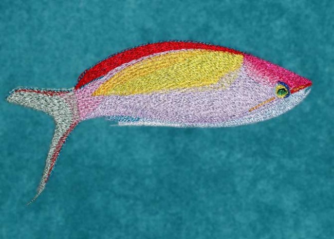 BFC1229 Tropical Fish