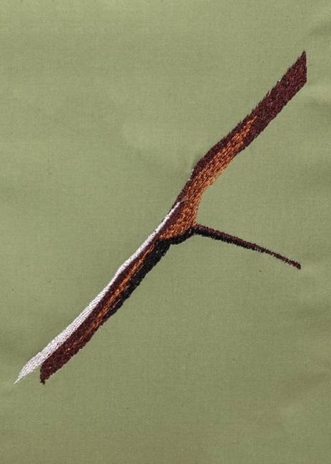 BFC1235 Large Greater Bird of Paradise