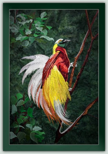 BFC1235 Large Greater Bird of Paradise