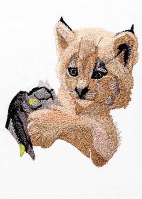 BFC1237 Large Lynx Kitten