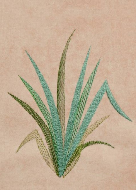 BFC1248 Landscape Elements - Foliage