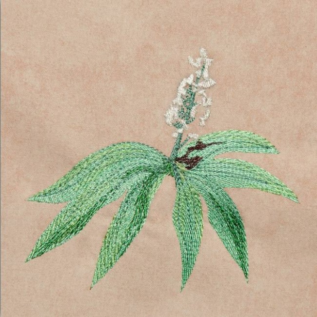 BFC1248 Landscape Elements - Foliage