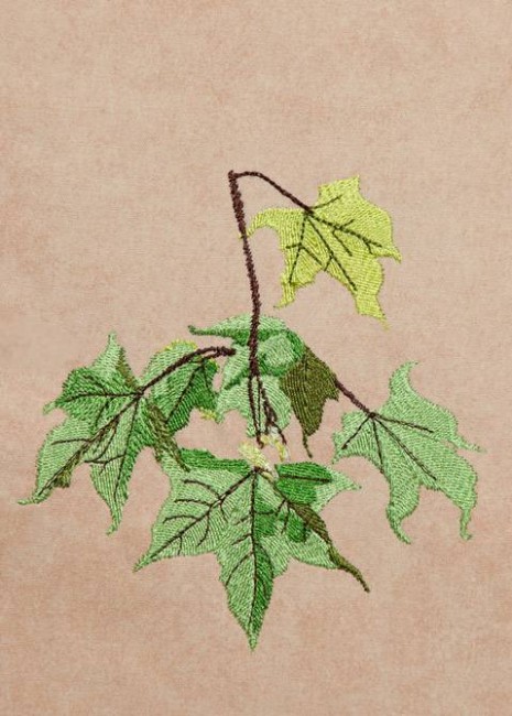 BFC1248 Landscape Elements - Foliage