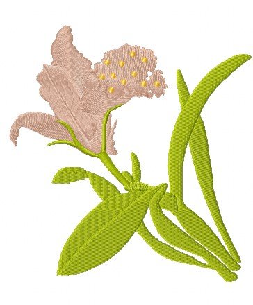 RMG1248 Iris
