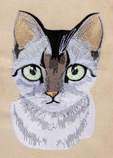 BFC1252 Ching Chou's Fanciful Cats