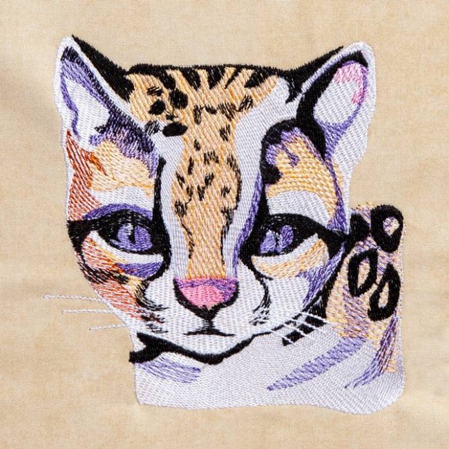 BFC1252 Ching Chou's Fanciful Cats