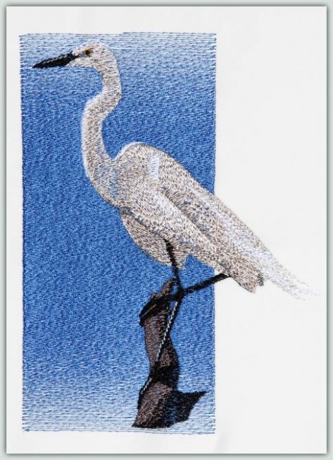 BFC1257 Three Egrets