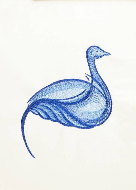 BFC1263 From Ugly Duckling to Elegant Swan