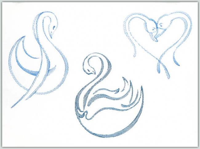 BFC1263 From Ugly Duckling to Elegant Swan