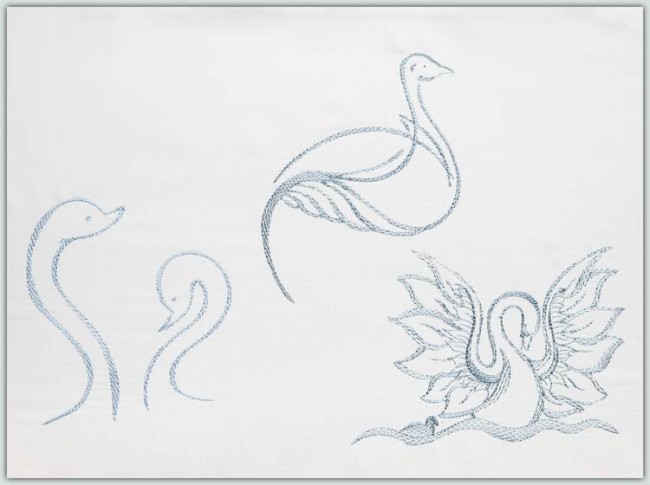 BFC1263 From Ugly Duckling to Elegant Swan