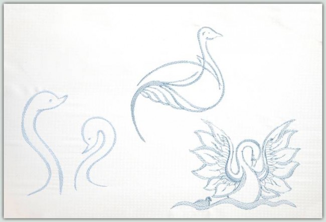 BFC1263 From Ugly Duckling to Elegant Swan