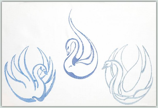 BFC1263 From Ugly Duckling to Elegant Swan