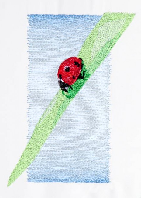 BFC1268 Ladybugs