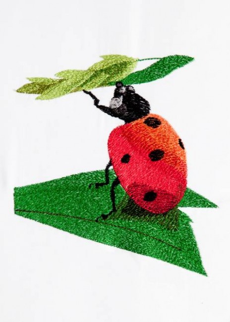 BFC1268 Ladybugs