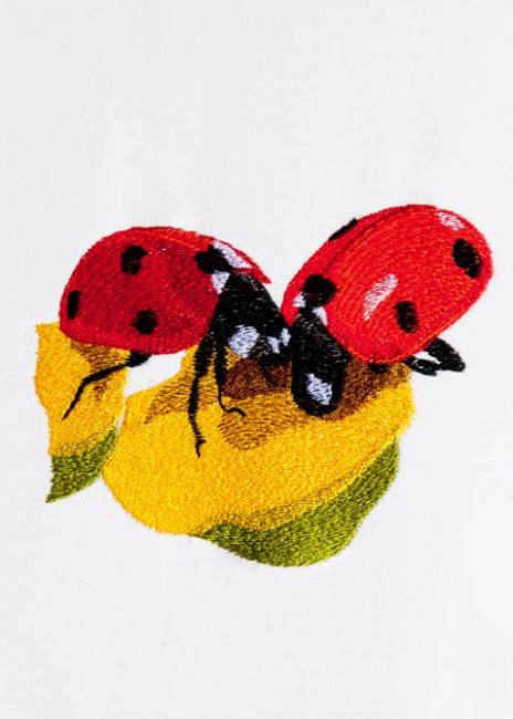 BFC1268 Ladybugs