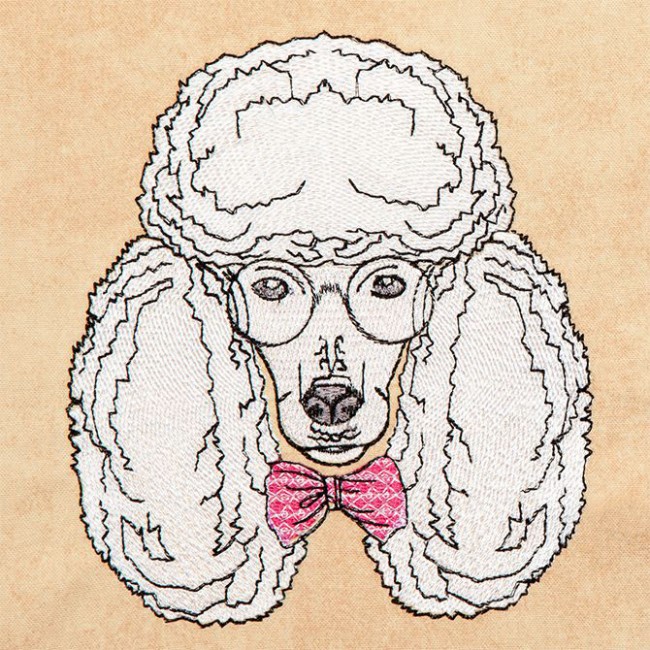 Hipster Canine 10