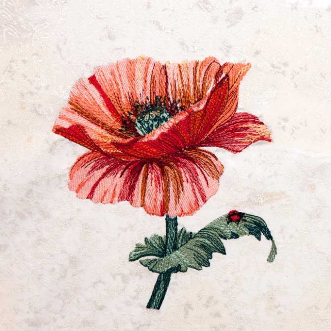 BFC1344 Vibrant Flowers