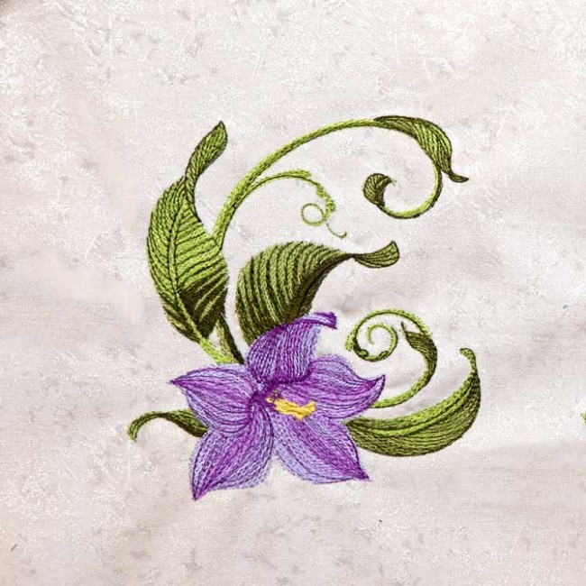 BFC1344 Vibrant Flowers