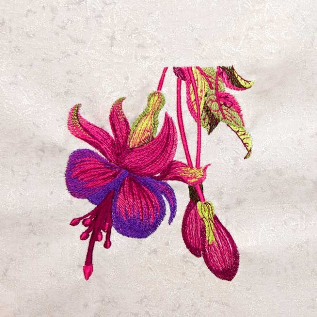 BFC1344 Vibrant Flowers