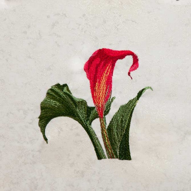 BFC1344 Vibrant Flowers