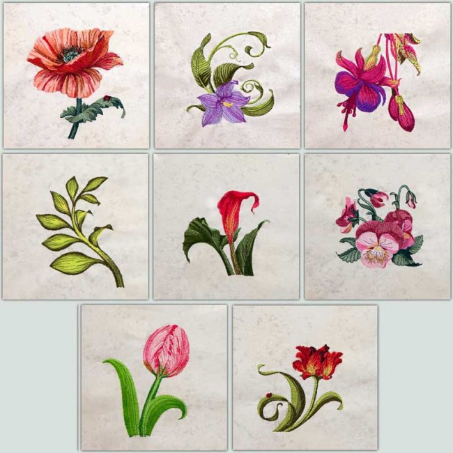 BFC1344 Vibrant Flowers