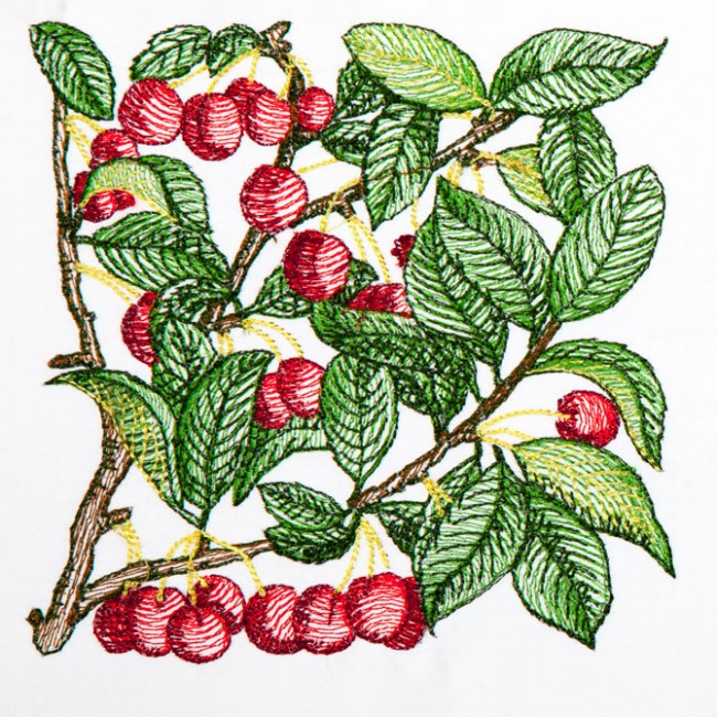 BFC1350 Botanical Fruit Woodcuts Quilt Blocks