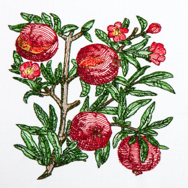 BFC1350 Botanical Fruit Woodcuts Quilt Blocks