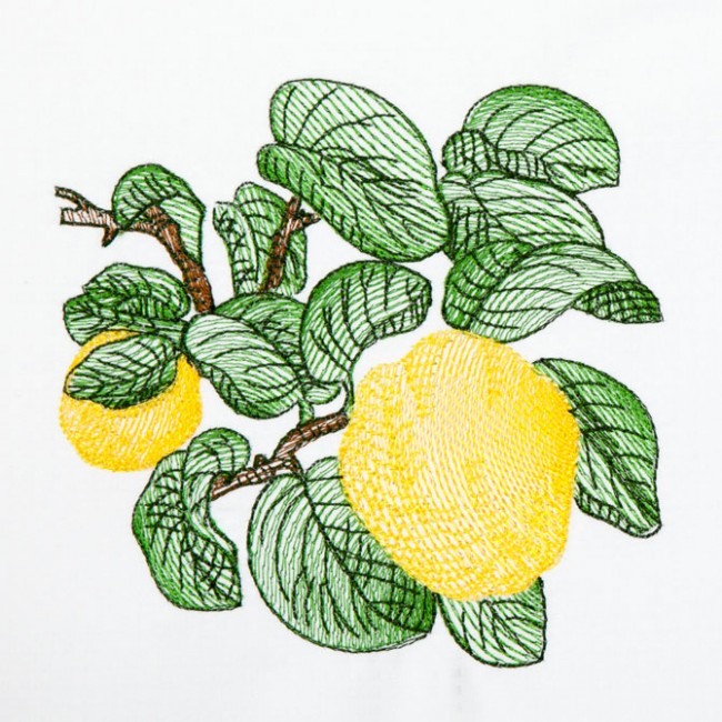 BFC1350 Botanical Fruit Woodcuts Quilt Blocks