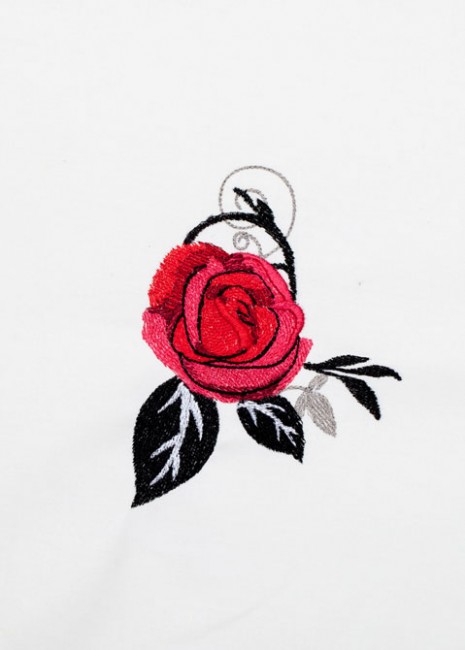 BFC1354 Red Roses - Black Scrolls
