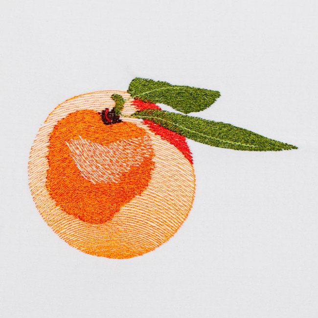 BFC1358 Sheer Fruit