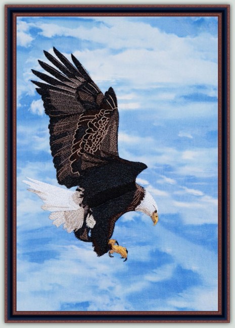 BFC1362 Large Eagle in Flight
