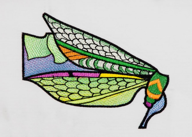 BFC1366 Ching Chou's Dragonflies