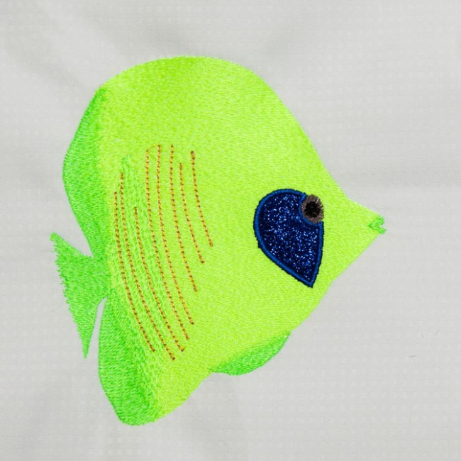 BFC1368 Four Tropical Fish