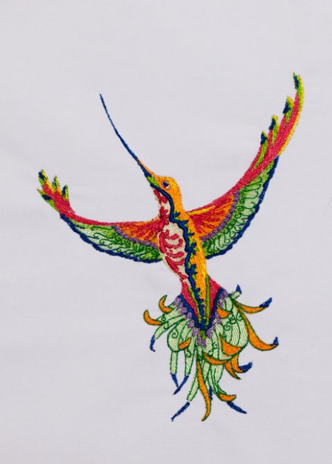 BFC1369 Sally King's Hummingbirds and Butterflies Complete
