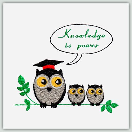 BFC1375 The Wise Owls