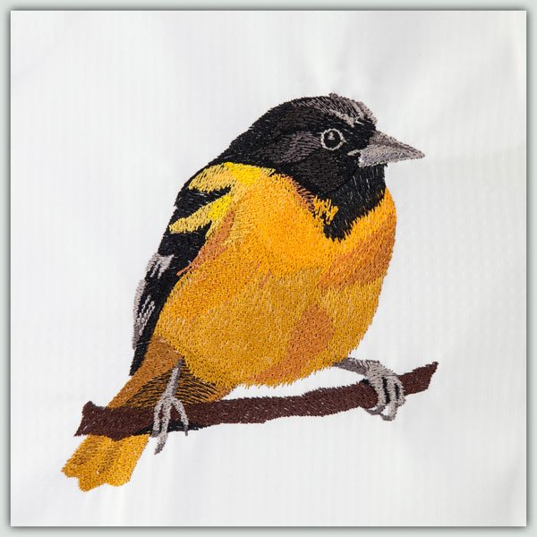 BFC1382 Three Baltimore Orioles