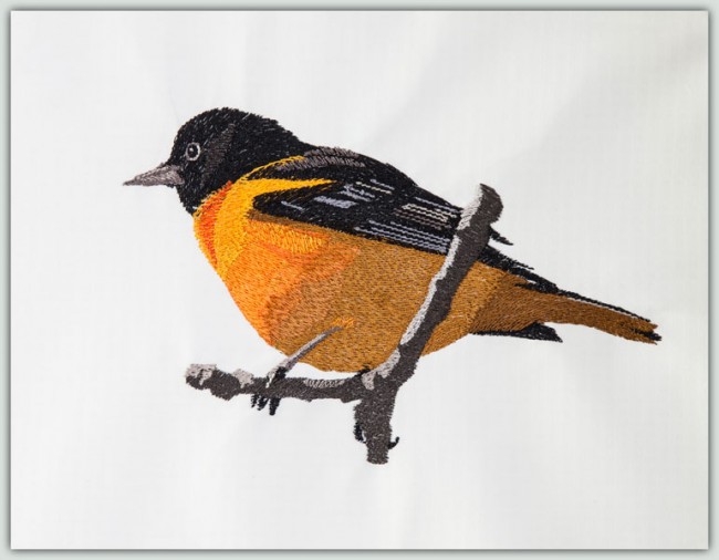 BFC1382 Three Baltimore Orioles